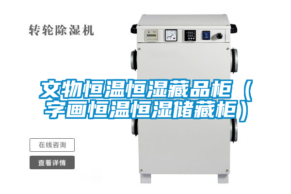 文物恒温恒湿藏品柜（字画恒温恒湿储藏柜）