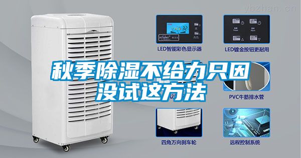 秋季除湿不给力只因没试这方法