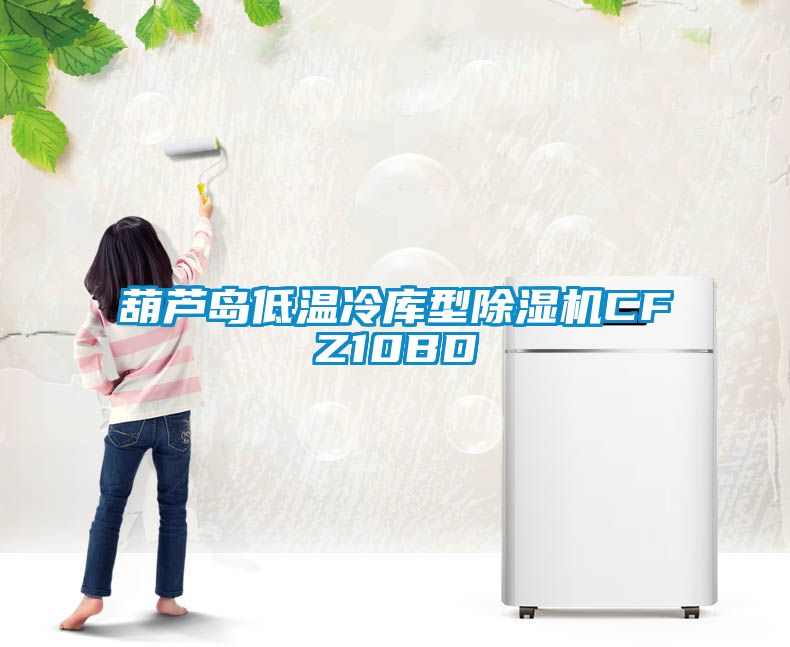 葫芦岛低温冷库型除湿机CFZ10BD