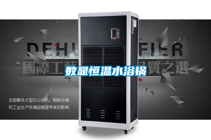 数显恒温水浴锅