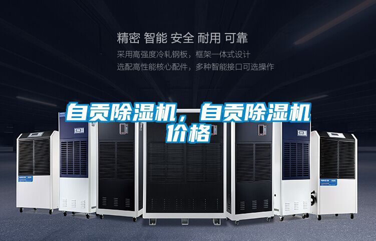 自贡除湿机，自贡除湿机价格
