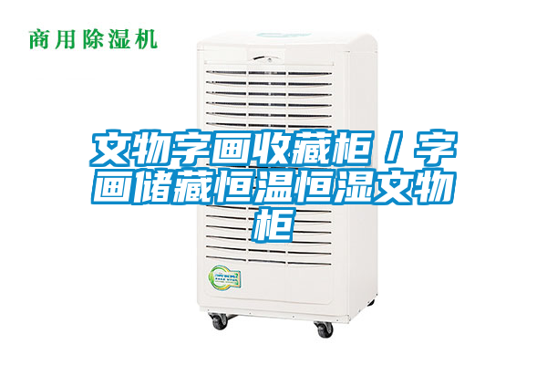 文物字画收藏柜／字画储藏恒温恒湿文物柜