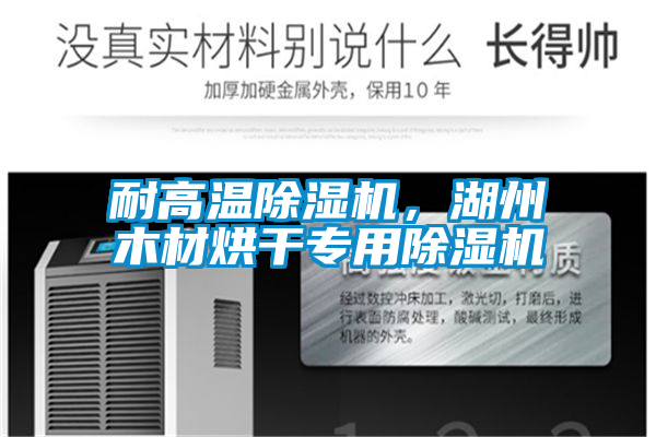 耐高温除湿机，湖州木材烘干专用除湿机