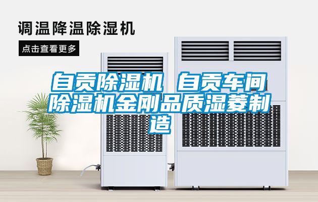 自贡除湿机 自贡车间除湿机金刚品质湿菱制造
