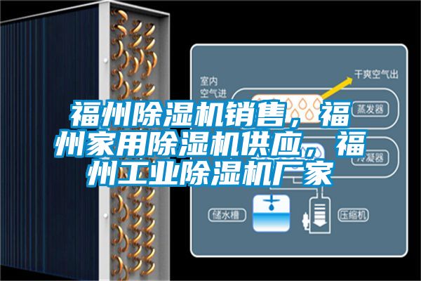 福州除湿机销售，福州家用除湿机供应，福州工业除湿机厂家