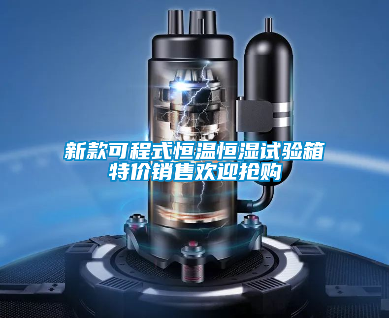 新款可程式恒温恒湿试验箱特价销售欢迎抢购