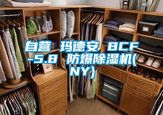 自营 玛德安 BCF-5.8 防爆除湿机(NY)