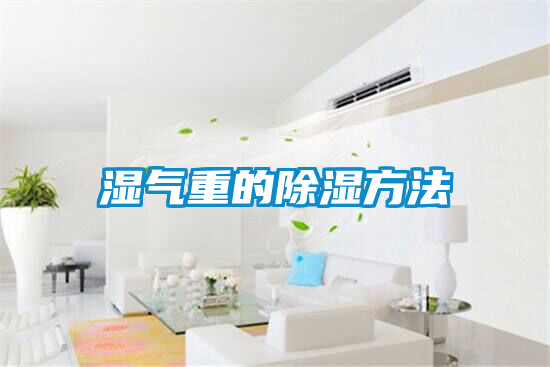 湿气重的除湿方法
