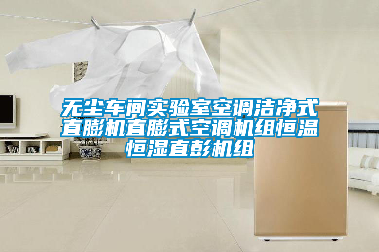 无尘车间实验室空调洁净式直膨机直膨式空调机组恒温恒湿直彭机组