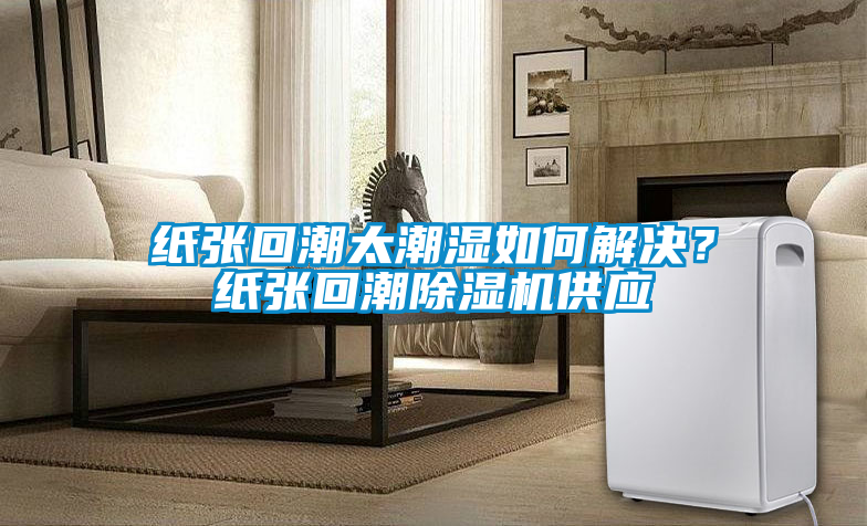 纸张回潮太潮湿如何解决？纸张回潮除湿机供应