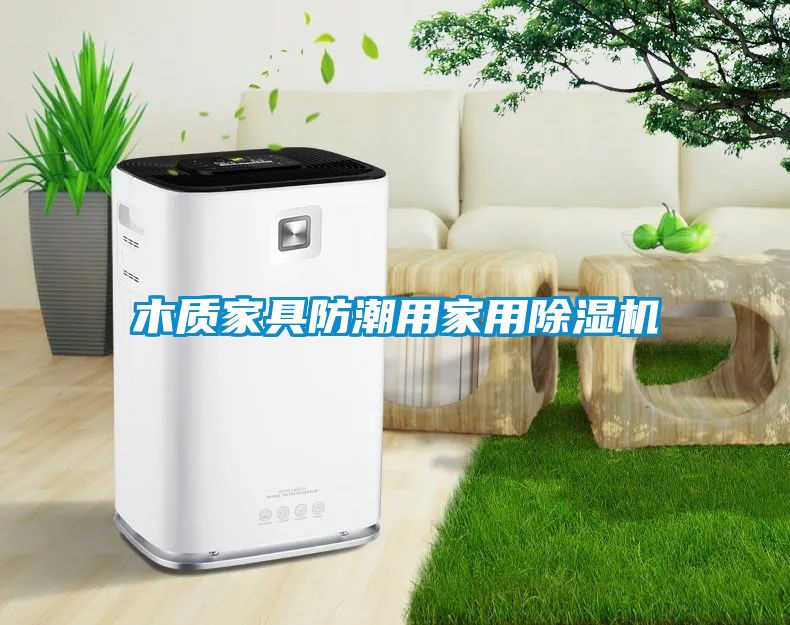 木质家具防潮用家用除湿机