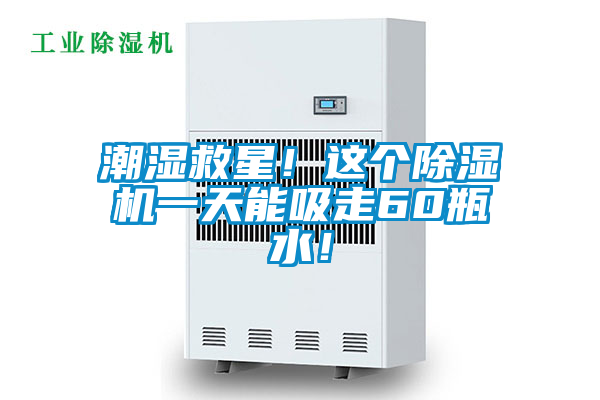 潮湿救星！这个除湿机一天能吸走60瓶水！