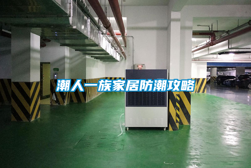 潮人一族家居防潮攻略