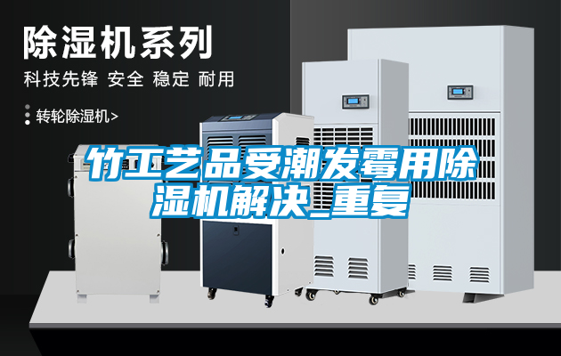 竹工艺品受潮发霉用除湿机解决_重复