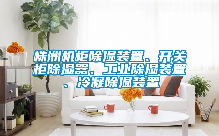 株洲机柜除湿装置、开关柜除湿器、工业除湿装置、冷凝除湿装置