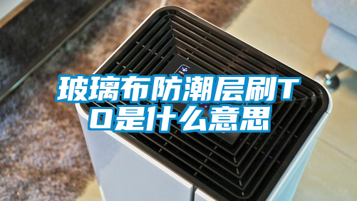 玻璃布防潮层刷TO是什么意思