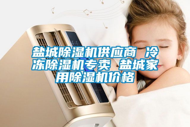 盐城除湿机供应商 冷冻除湿机专卖 盐城家用除湿机价格