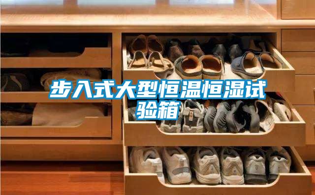 步入式大型恒温恒湿试验箱