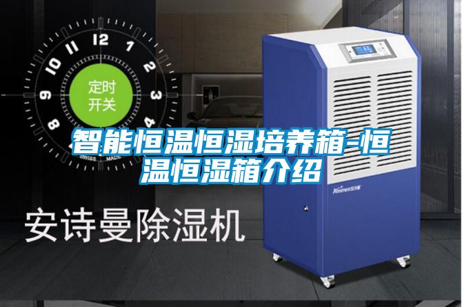 智能恒温恒湿培养箱-恒温恒湿箱介绍