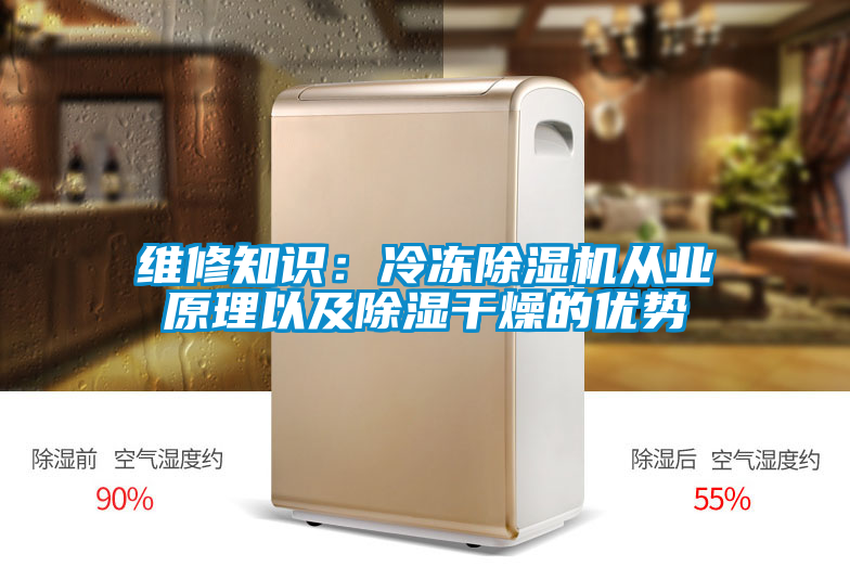维修知识：冷冻除湿机从业原理以及除湿干燥的优势