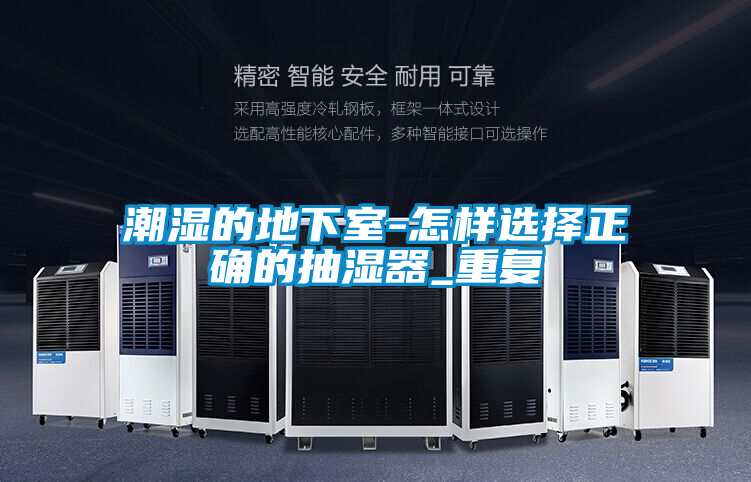 潮湿的地下室-怎样选择正确的抽湿器_重复