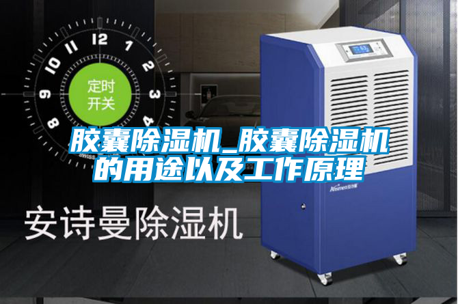 胶囊除湿机_胶囊除湿机的用途以及工作原理
