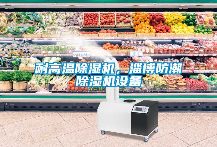 耐高温除湿机，淄博防潮除湿机设备
