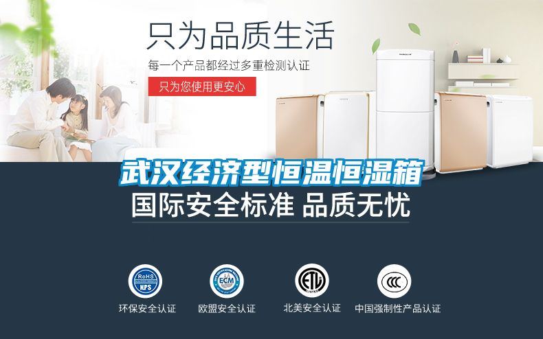 武汉经济型恒温恒湿箱