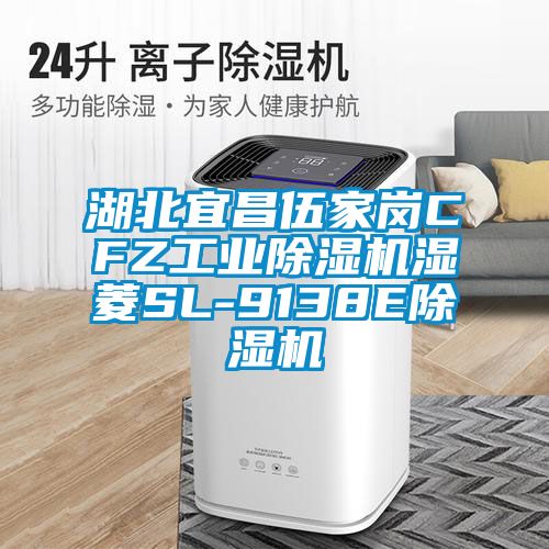 湖北宜昌伍家岗CFZ工业除湿机湿菱SL-9138E除湿机
