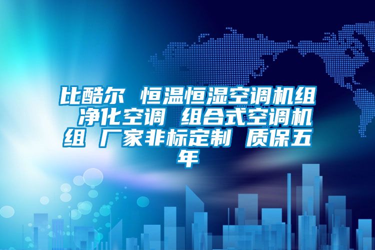 比酷尔 恒温恒湿空调机组 净化空调 组合式空调机组 厂家非标定制 质保五年