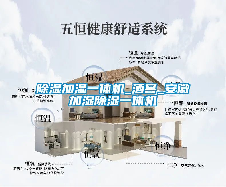 除湿加湿一体机_酒窖_安徽加湿除湿一体机