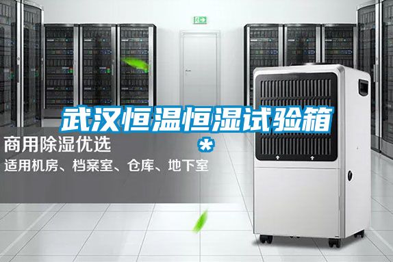 武汉恒温恒湿试验箱＊