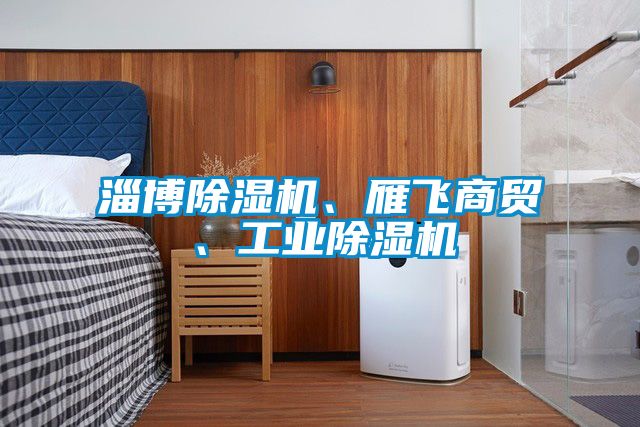淄博除湿机、雁飞商贸、工业除湿机