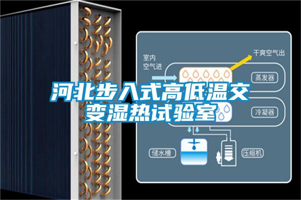 河北步入式高低温交变湿热试验室