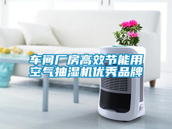 车间厂房高效节能用空气抽湿机优秀品牌