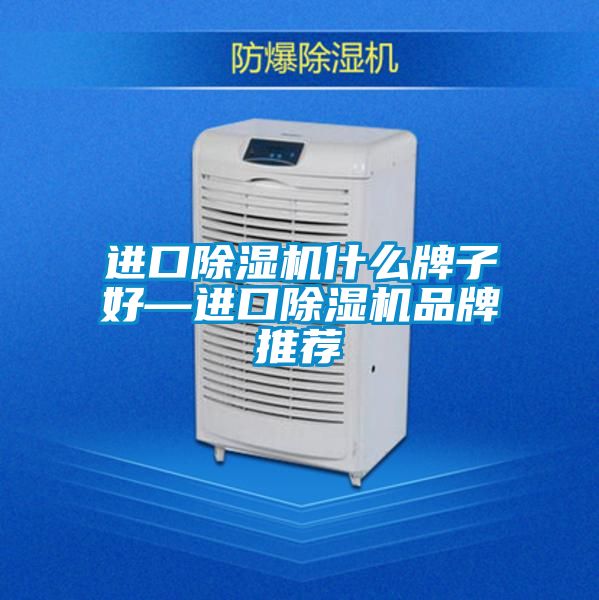 进口除湿机什么牌子好—进口除湿机品牌推荐
