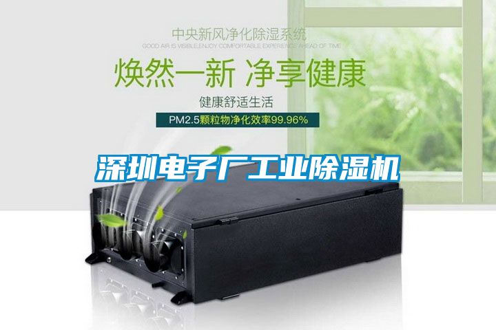 深圳电子厂工业除湿机
