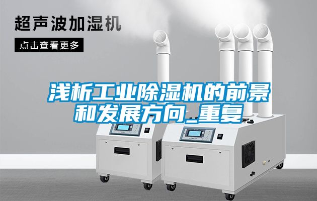 浅析工业除湿机的前景和发展方向_重复