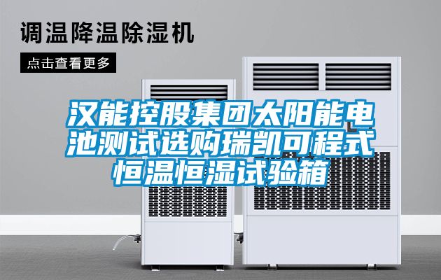 汉能控股集团太阳能电池测试选购瑞凯可程式恒温恒湿试验箱