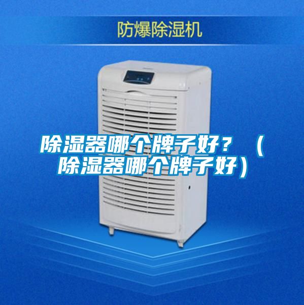 除湿器哪个牌子好？（除湿器哪个牌子好）