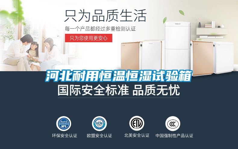 河北耐用恒温恒湿试验箱