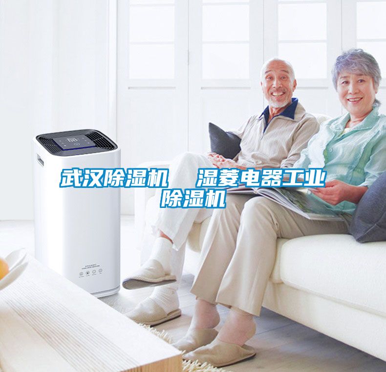 武汉除湿机  湿菱电器工业除湿机