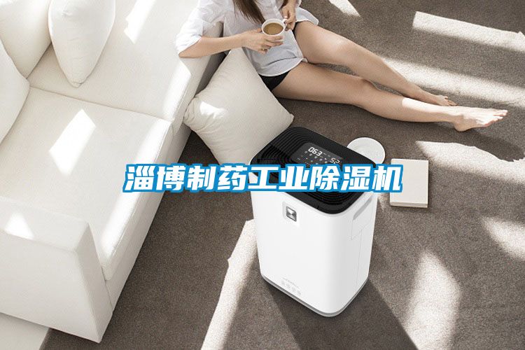 淄博制药工业除湿机
