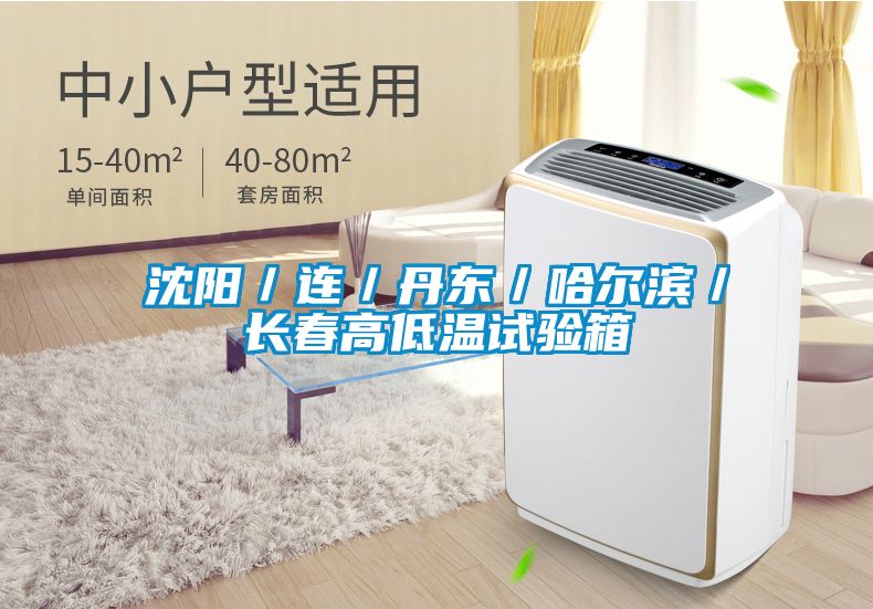 沈阳／连／丹东／哈尔滨／长春高低温试验箱