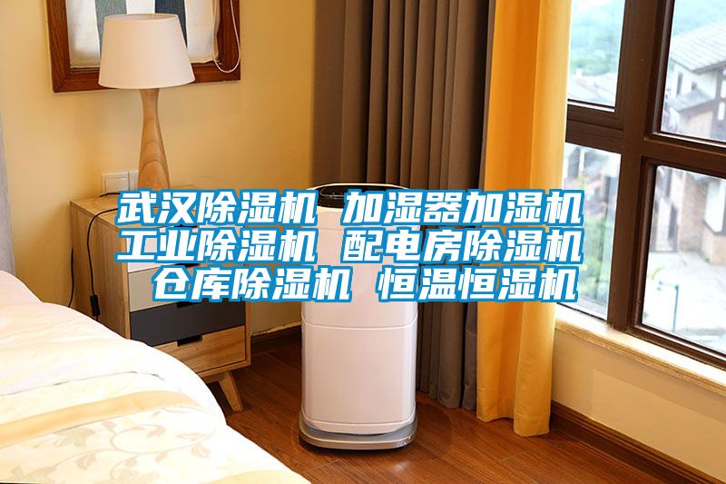 武汉除湿机 加湿器加湿机 工业除湿机 配电房除湿机 仓库除湿机 恒温恒湿机
