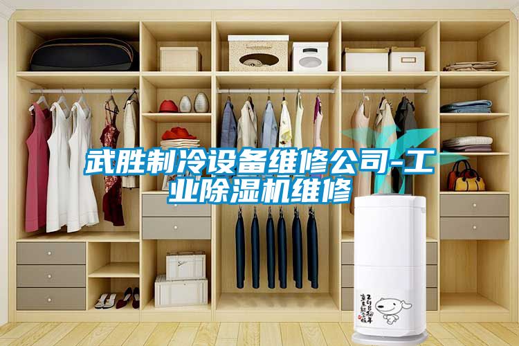 武胜制冷设备维修公司-工业除湿机维修