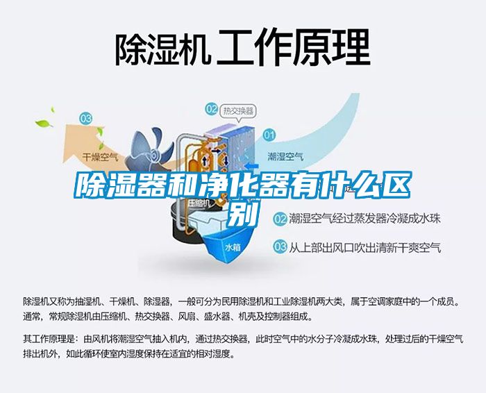 除湿器和净化器有什么区别