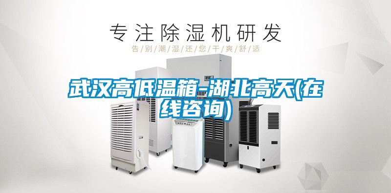 武汉高低温箱-湖北高天(在线咨询)