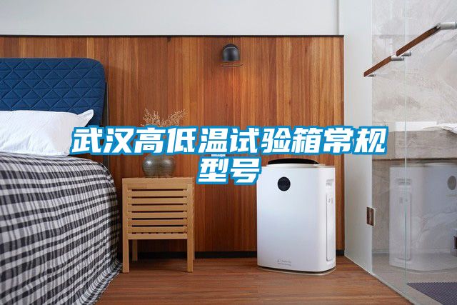 武汉高低温试验箱常规型号