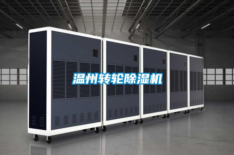 温州转轮除湿机